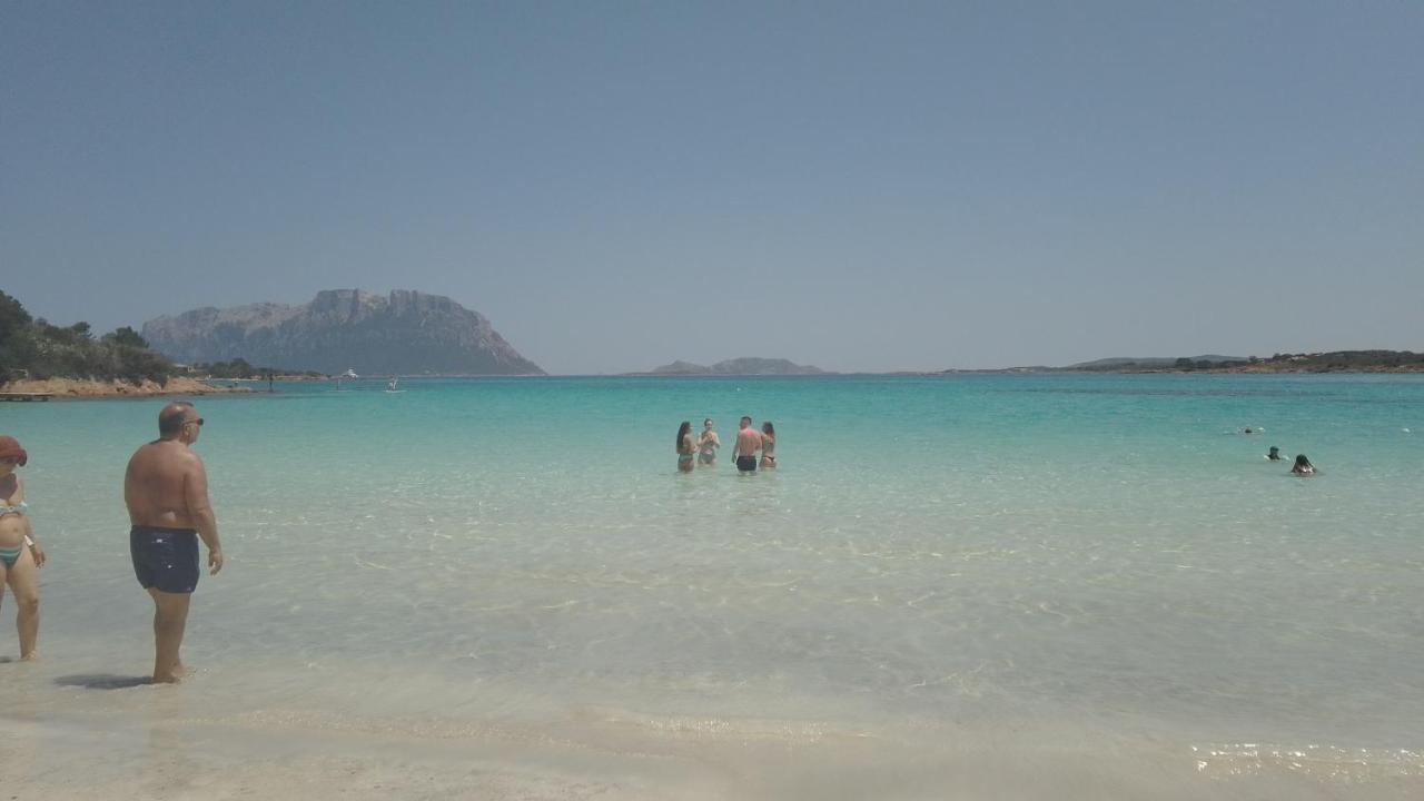 Bilo Noel Lägenhet Olbia Exteriör bild